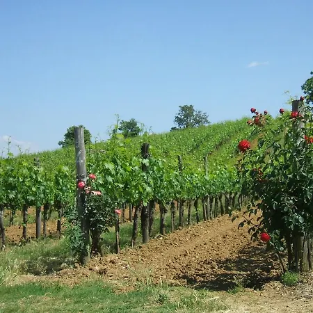 Borgo Del Molinello مزرعة للإقامة سانْتالبينو