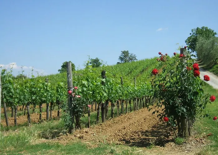 Borgo Del Molinello Farma Sant'Albino
